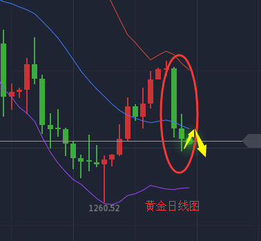 杨雯琦:美元走强不利黄金后续上涨 黄金今日操作建议