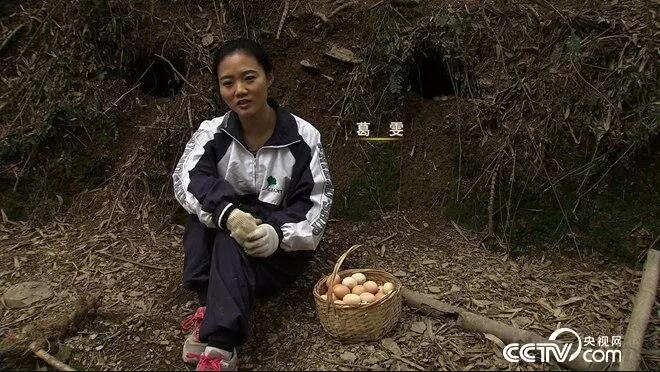 为什么致富故事的主角,不是卖红薯就是养猪?