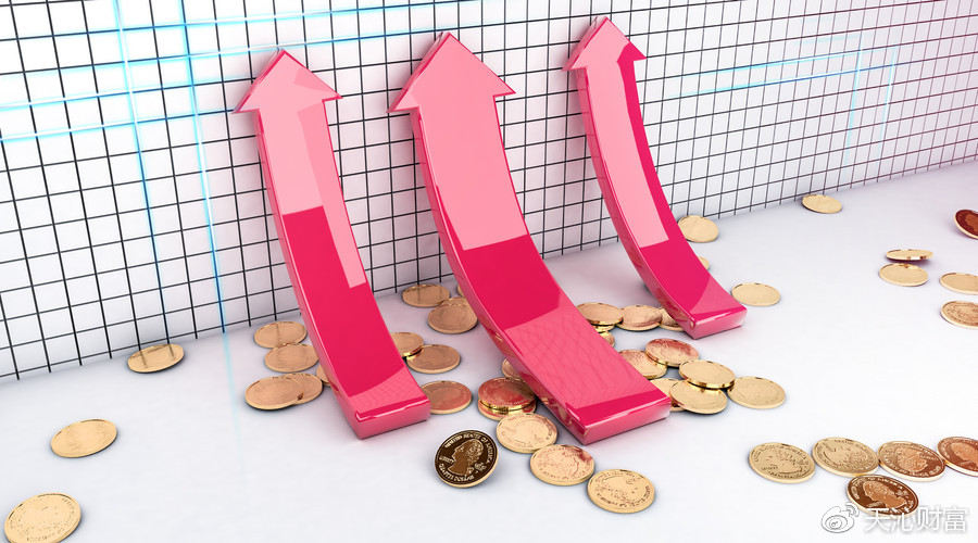 私募股权投资基金的业绩衡量、风险管理和收益