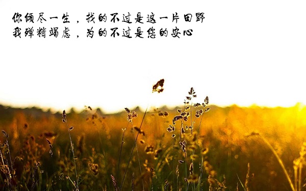 黄金空头可看1260短支撑,上方多单如何处理?