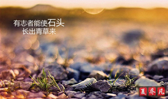 夏乔凡:8.10黄金周五又遇黑天鹅?后市操作建议走势分析
