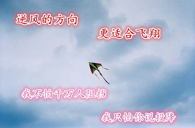 夏艾璃:10.12股市大跌黄金一枝独秀,怎么炒黄金不亏损?